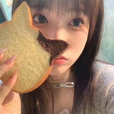 人类的故事