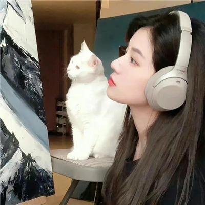 调查犯罪是我们的职业